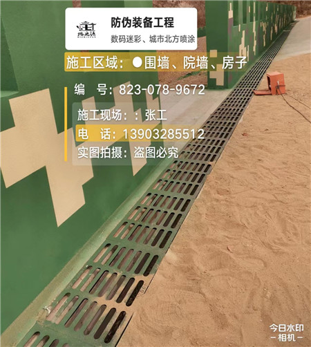 青浦 例如在抖音上有“迷彩墙，外围墙面挡 - 星空数码迷彩漆施工队